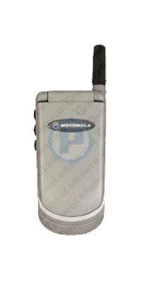 Motorola V50