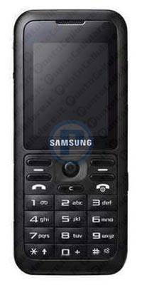 Samsung SGH-J210