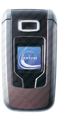 Samsung SGH-Z310