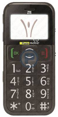 ZTE PM1004 Senior