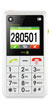 Scheda tecnica Doro PhoneEasy 330