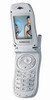 Scheda tecnica Samsung V100