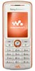 Scheda tecnica Sony Ericsson W200i