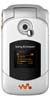 Scheda tecnica Sony Ericsson W300i