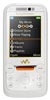 Scheda tecnica Sony Ericsson W850i