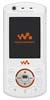 Scheda tecnica Sony Ericsson W900i