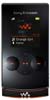 Scheda tecnica Sony Ericsson W980i