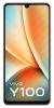 Scheda tecnica Vivo Y100