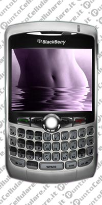 BlackBerry 8300 Curve