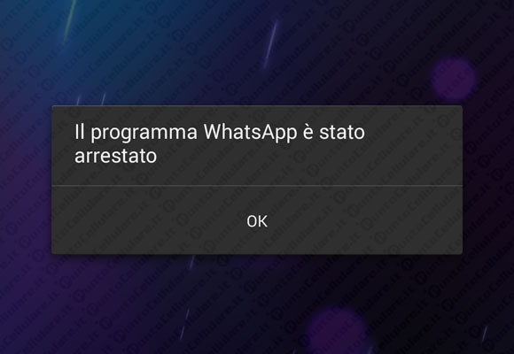 Bug WhatsApp