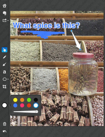 Evernote Skitch per iPad