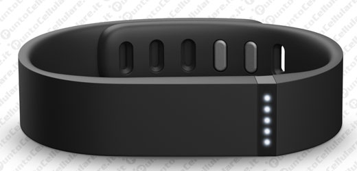 Fitbit Flex