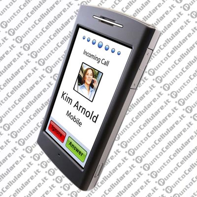 Garmin Nuvifone