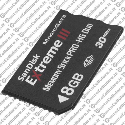 Memory Stick PRO HG Duo