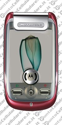 Motorola A1200 Ming