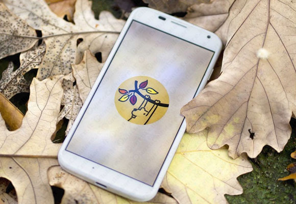 Motorola animazione boot autunnale