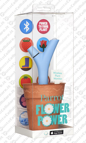 Parrot Flower Power