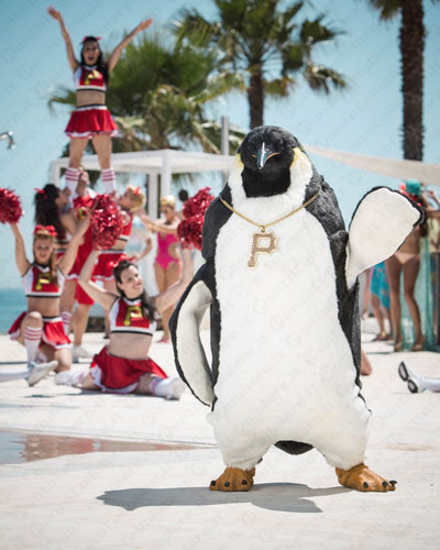 Pino il Pinguino