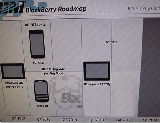 Roadmap RIM