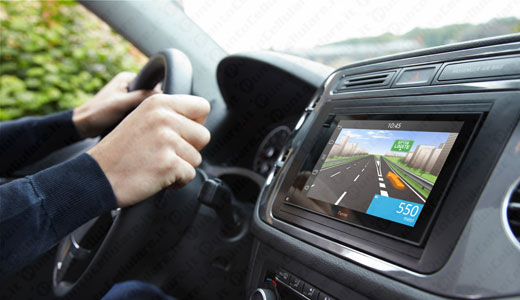 TomTom Parrot