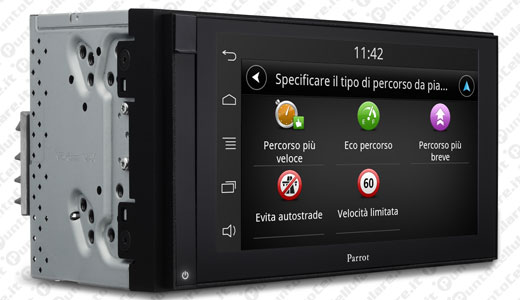 TomTom Parrot