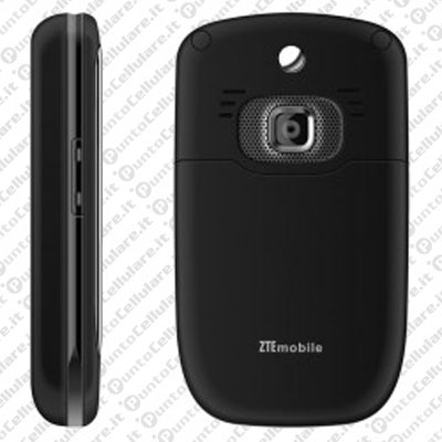 ZTE PM1002 Music Phone
