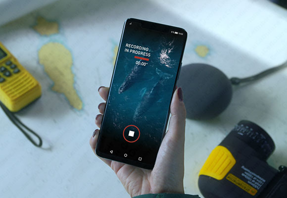 huawei mate 20 pro