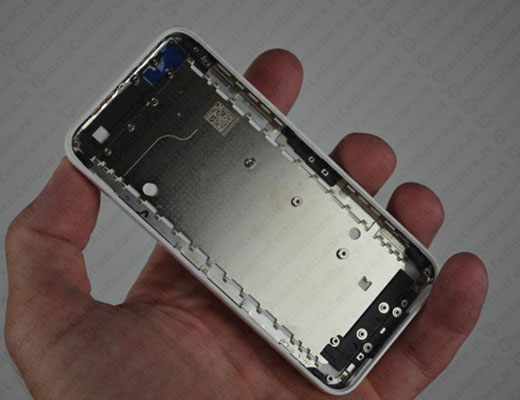iPhone 5C