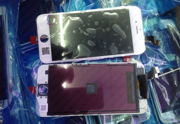 iPhone 6
