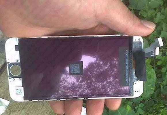 iPhone 6