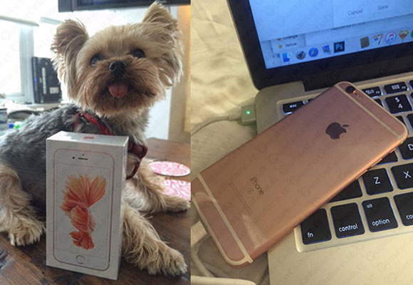 iPhone 6s