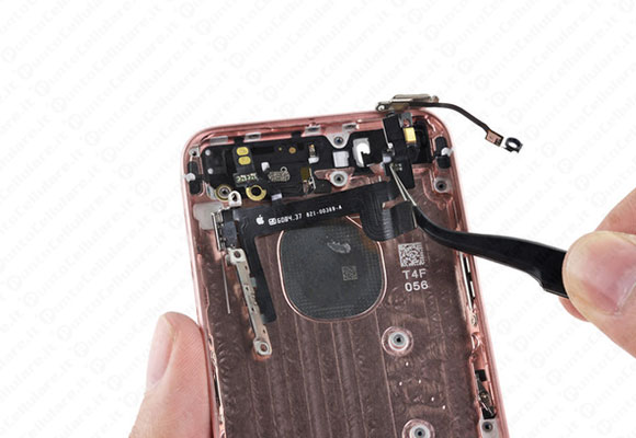 iPhone SE