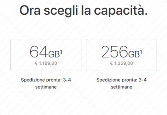 iPhone X