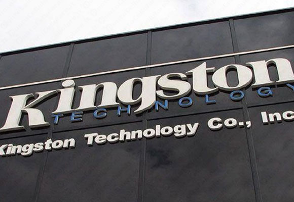 sondaggio kingston