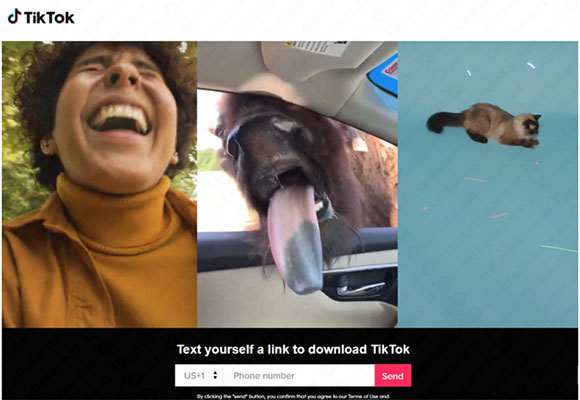 tiktok