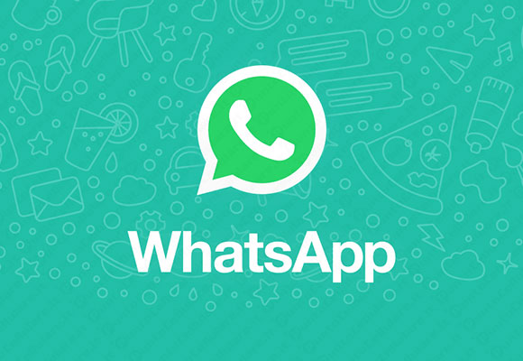 tim whatsapp