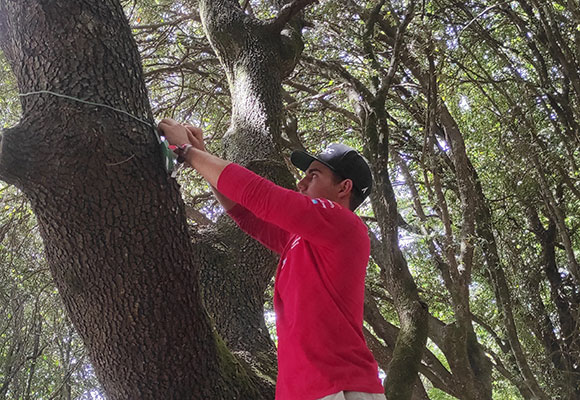 vodafone iot
